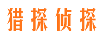 方城侦探